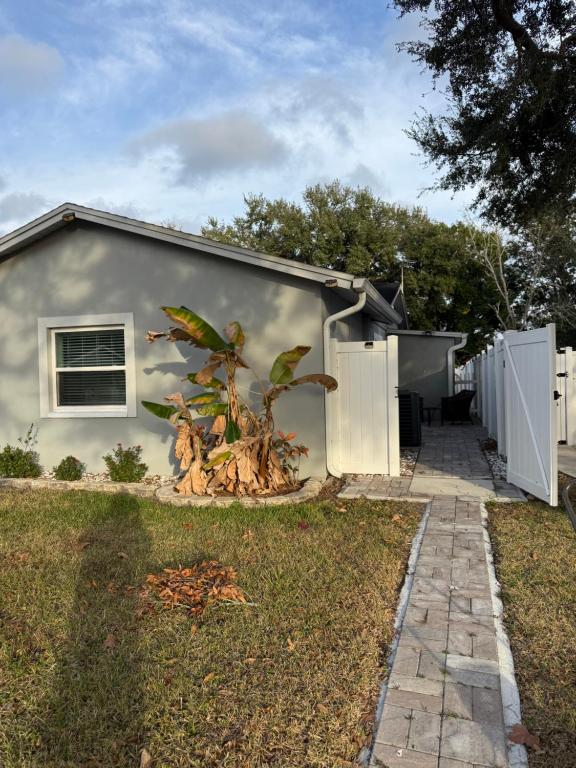 Modern Tampa studio full Kitchen & great location في تامبا: منزل أمامه شجرة