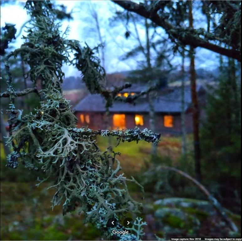 een huis met lichten aan de achterkant bij Dávidi talo 