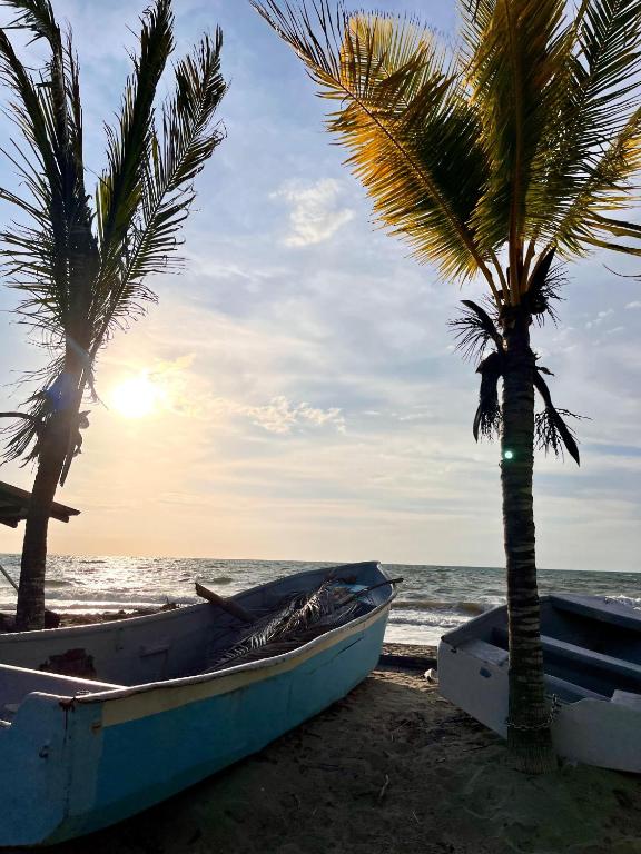 Природа в окрестностях дома для отпуска