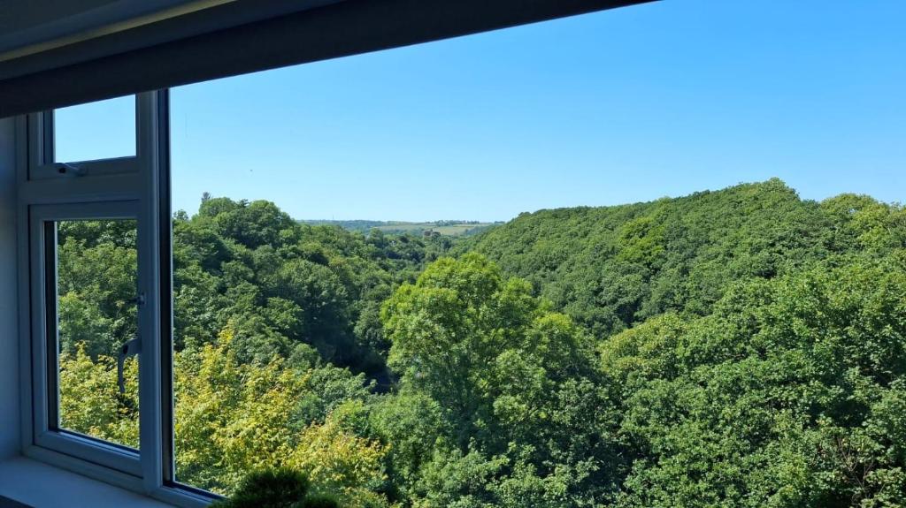a window with a view of a forest at Charming tree top cottage overlooking River Teifi in Cilgerran