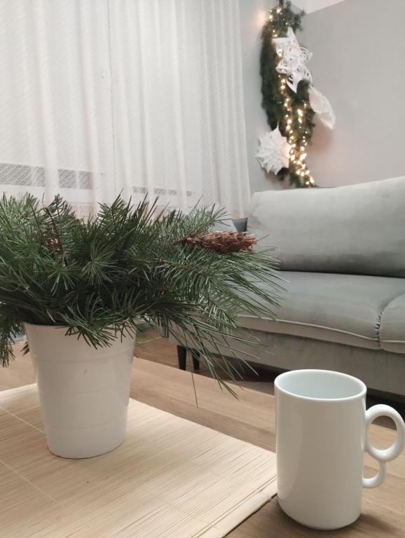 Χώρος καθιστικού στο MIKO apartament