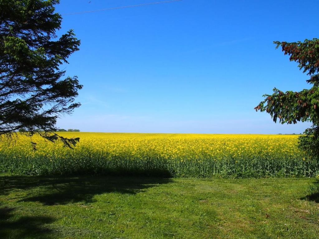 Φωτογραφία από το άλμπουμ του Holiday apartment with 2 bedrooms σε Rattelvitz