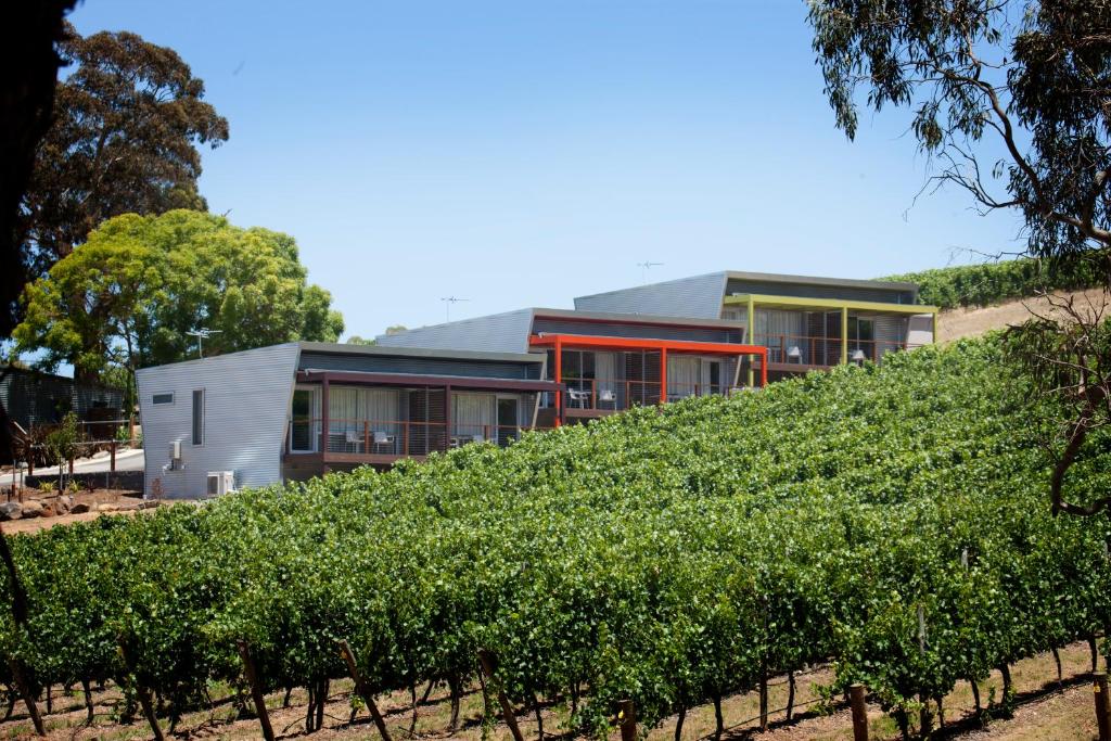 ein Haus auf einem Hügel neben einem Weinberg in der Unterkunft Longview Vineyard in Macclesfield