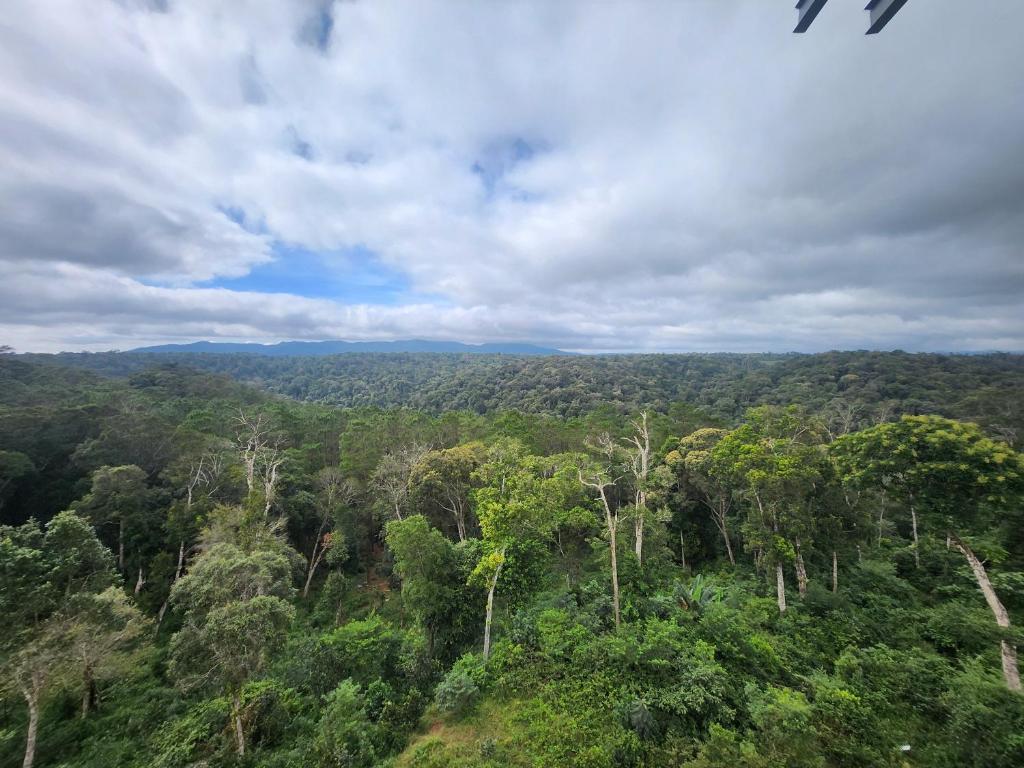 an aerial view of a forest of trees at Như Ý Hotel in Kon Plong