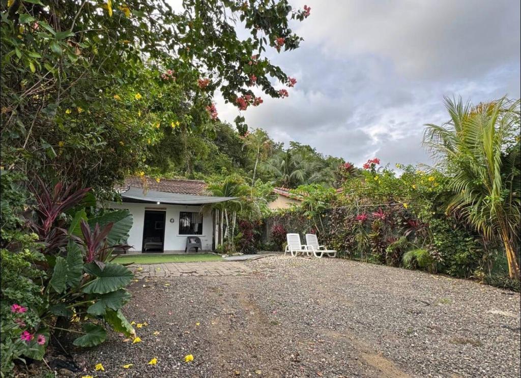 a house with two white chairs in the yard at Casa Bambu in Tapantí