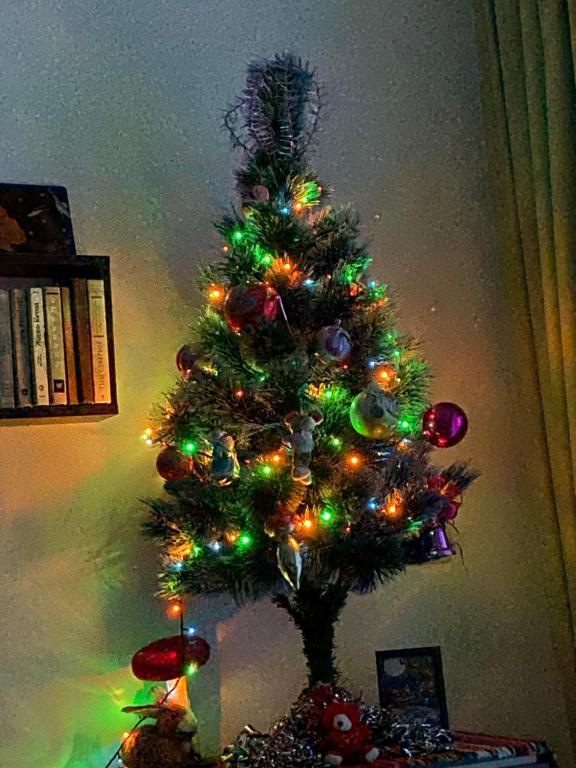 Φωτογραφία από το άλμπουμ του Green Studio Hotel Sol e Mar στο Sunny Beach