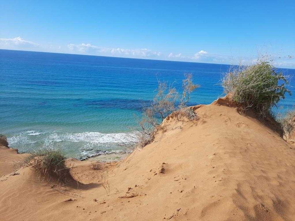 Naturlandskabet i nærheden af lejligheden