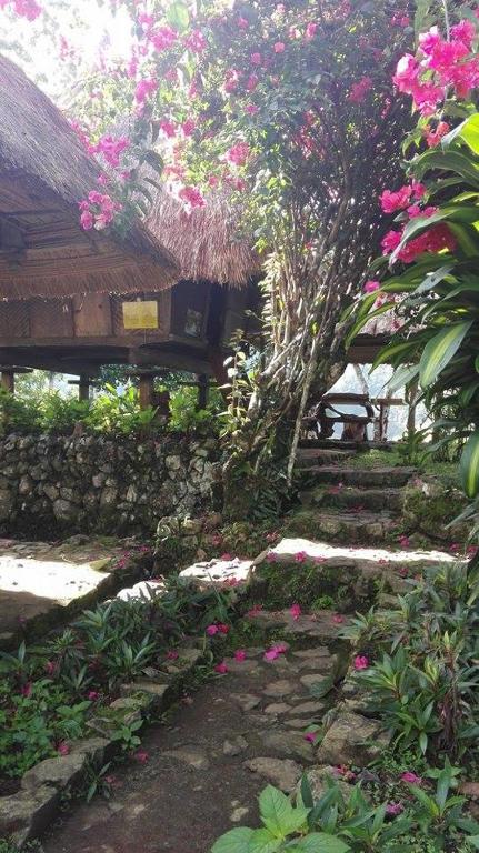 Photo from Native Village Inn in Banaue, Luzon, Philippines