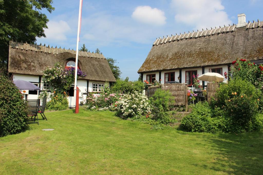a house with a thatched roof and a yard at Travel back in time in Nyord