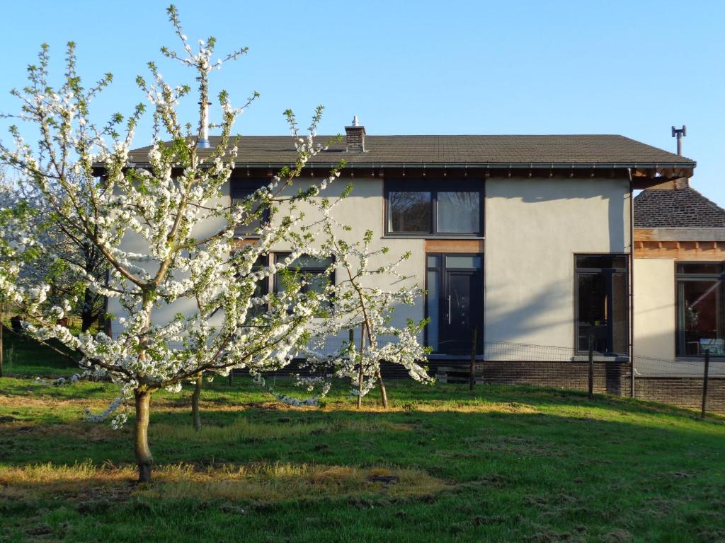 una casa con un árbol floreciente delante de ella en B&B Casa de Paja en Sint-Truiden