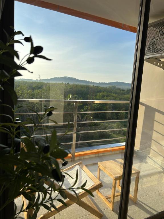 Naturlandskabet i nærheden af lejligheden