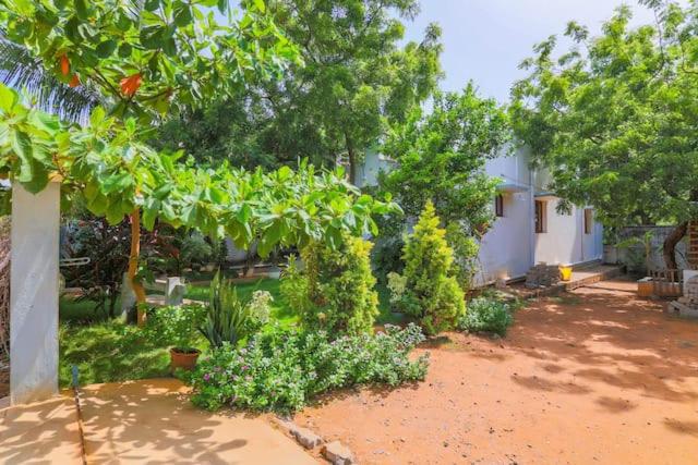 En have udenfor MM GARDENs