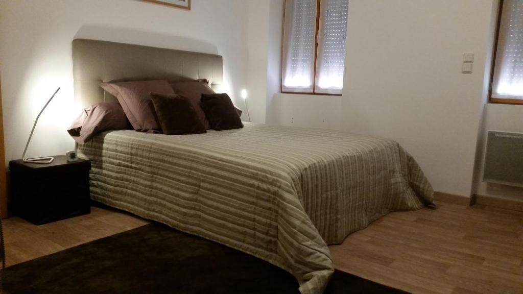 a bedroom with a large bed in a room at Le meublé toulousain in Toulouse