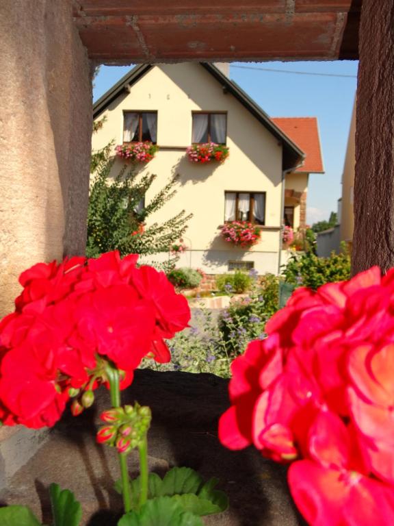 Zahrada ubytování Chambre d'hôtes du Zellberg