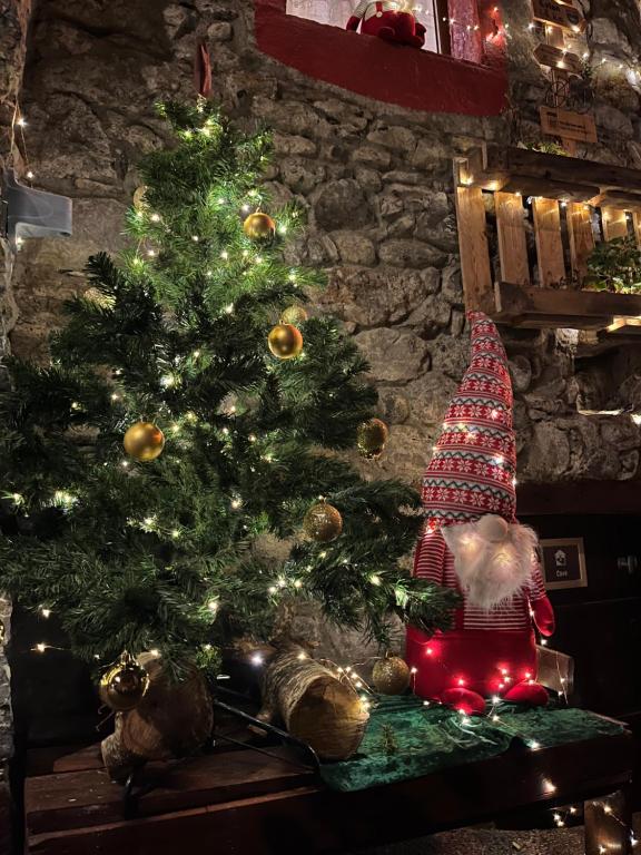 Chez Malou & Hugo vue lac proche Suisse & stations ! في سانت غينغولف: شجرة عيد الميلاد في غرفة مع أضواء عيد الميلاد