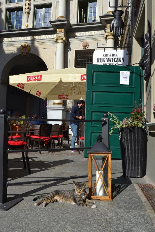 Liberum Residence Old Town - Resim 11