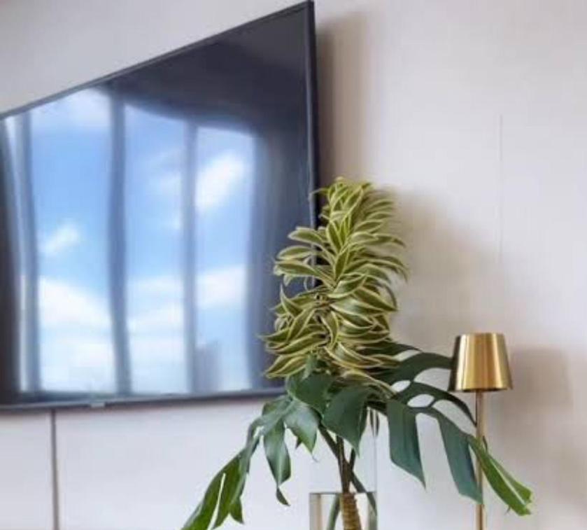 Μια τηλεόραση ή/και κέντρο ψυχαγωγίας στο Raizes do bem estar