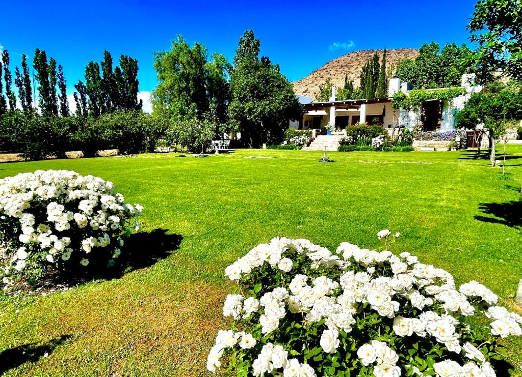 En have udenfor Paradijs in Nieu-Bethesda