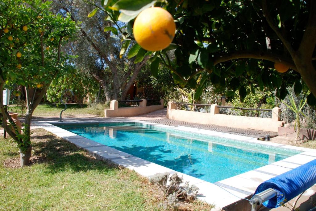 Piscina di Hotel Dar Zitoune Taroudant o nelle vicinanze