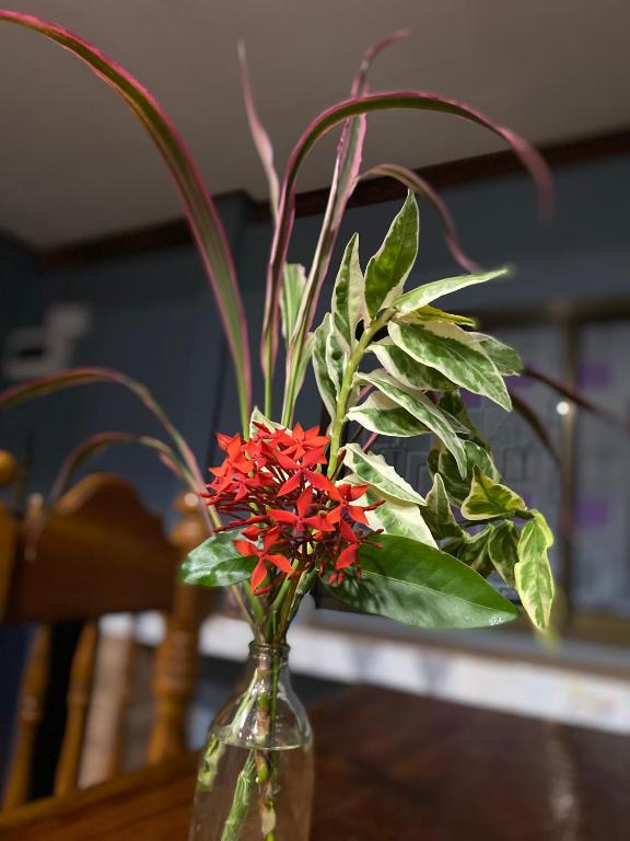 Nadia Resort Kohjum - 14