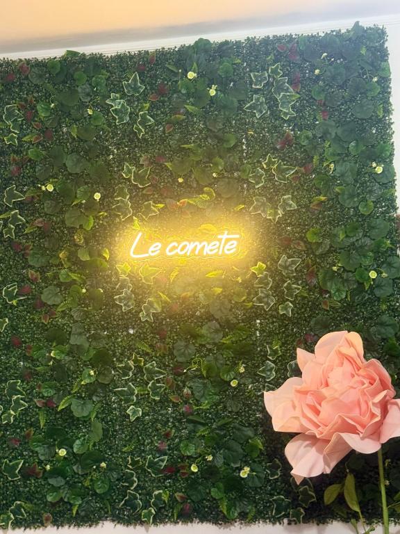 a cake with the word le romantic written on top of flowers at Le Comete di Angelo in Reggio di Calabria