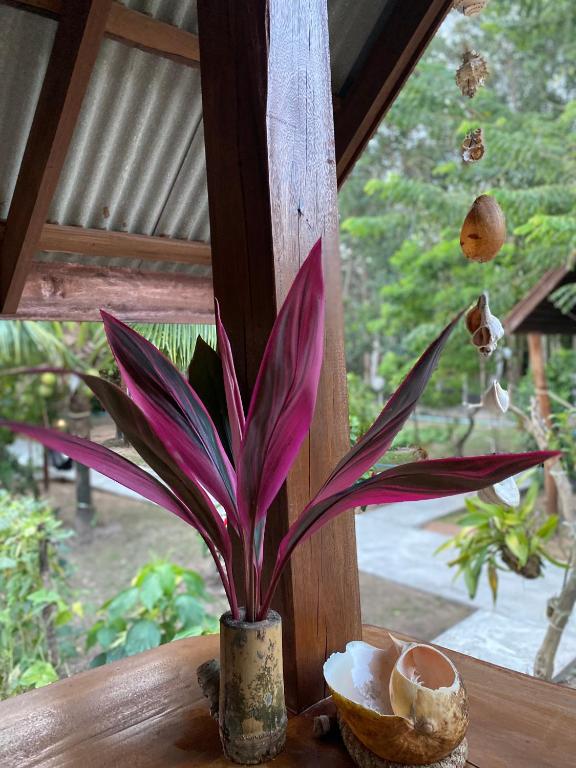 Nadia Resort Kohjum - 15