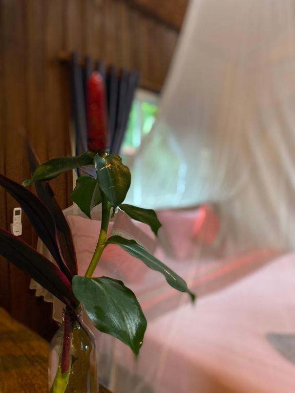 Nadia Resort Kohjum - 6