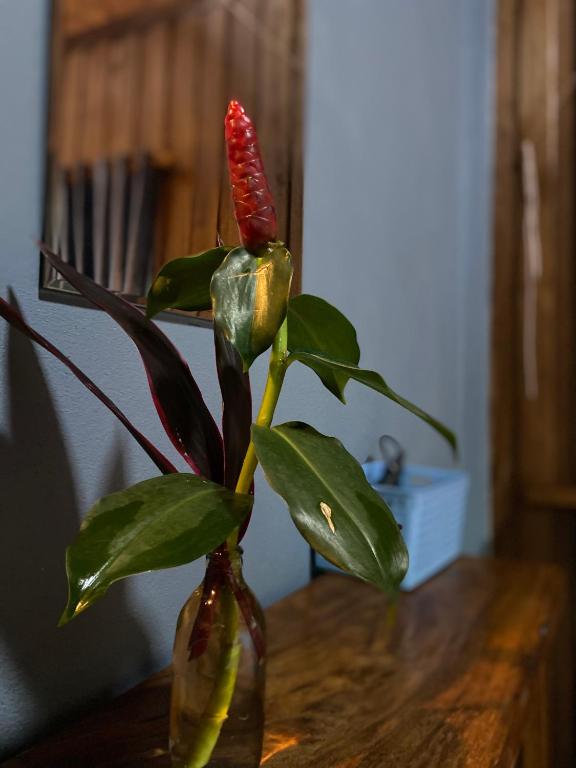 Nadia Resort Kohjum - 12