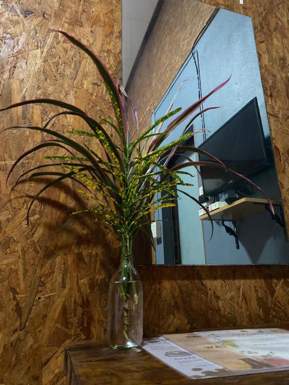 Nadia Resort Kohjum - 10