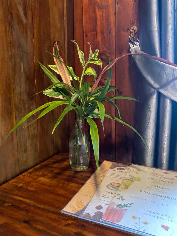 Nadia Resort Kohjum - 8