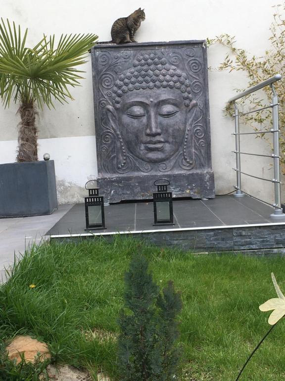 La Petite Maison de Jane - 17