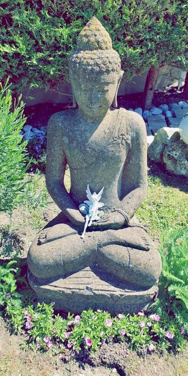 La Petite Maison de Jane - 19