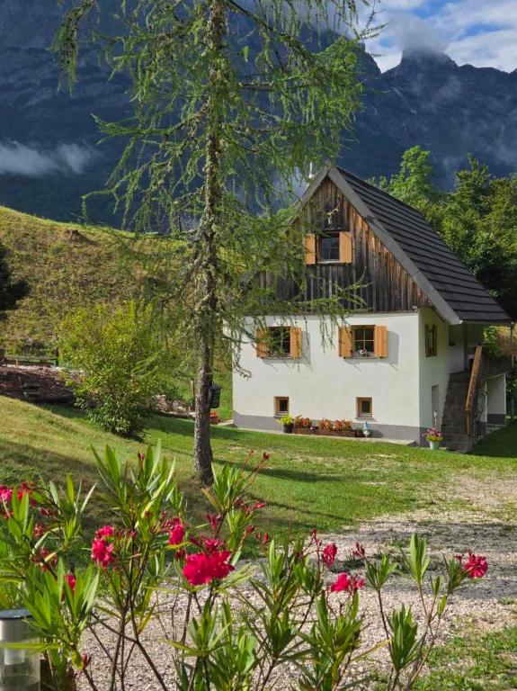索卡Chalet Vrsnik Hideaway的山中一座有鲜花的房屋