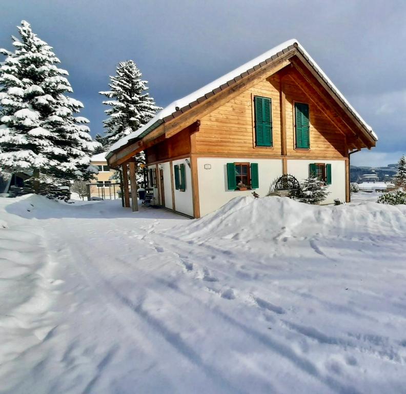 una casa cubierta de nieve con árboles en el fondo en LaDolceVita im Tiroler Holzhaus, en Bad Elster