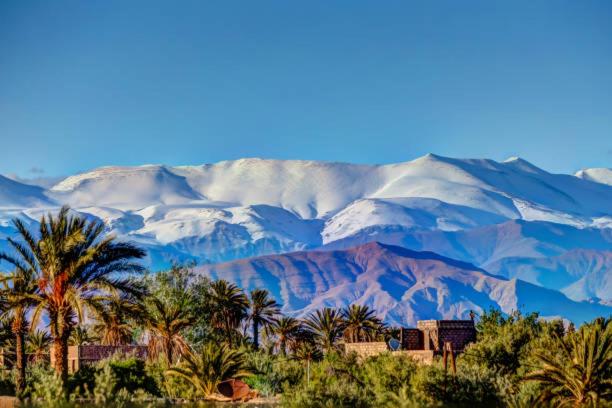 a mountain with palm trees and snow covered mountains at The Atlas View and Elegant Villa Marrakech in Marrakech