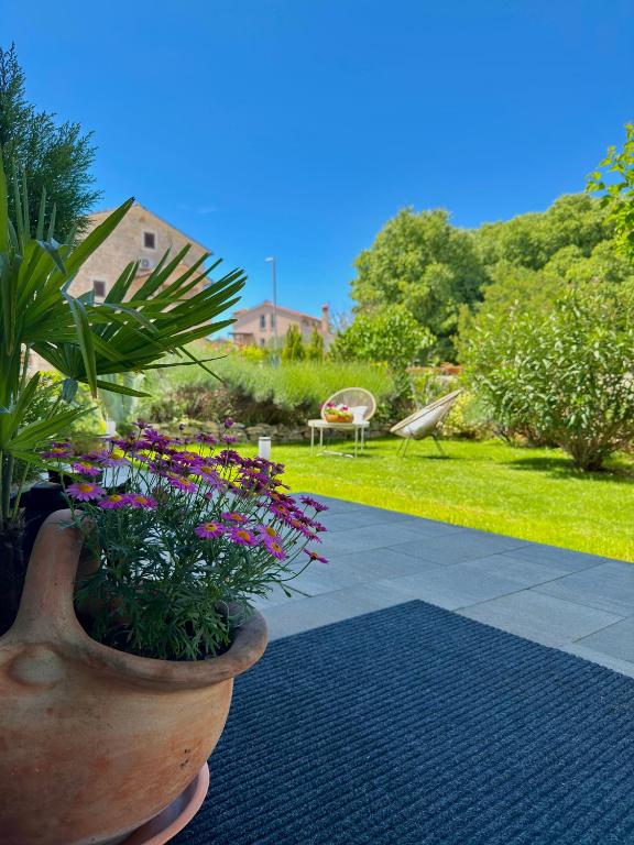 Rooms and Apartments IstraSoley - 16