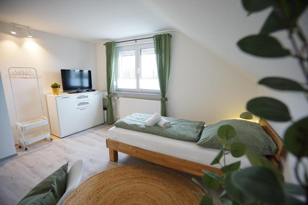 TV a/nebo společenská místnost v ubytování Sonnenhöhe Apartment