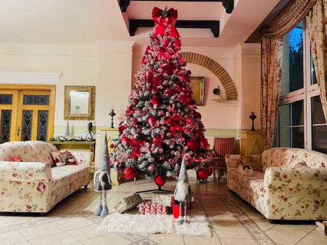 Posezení v ubytování Hotel Casa De La Rosa