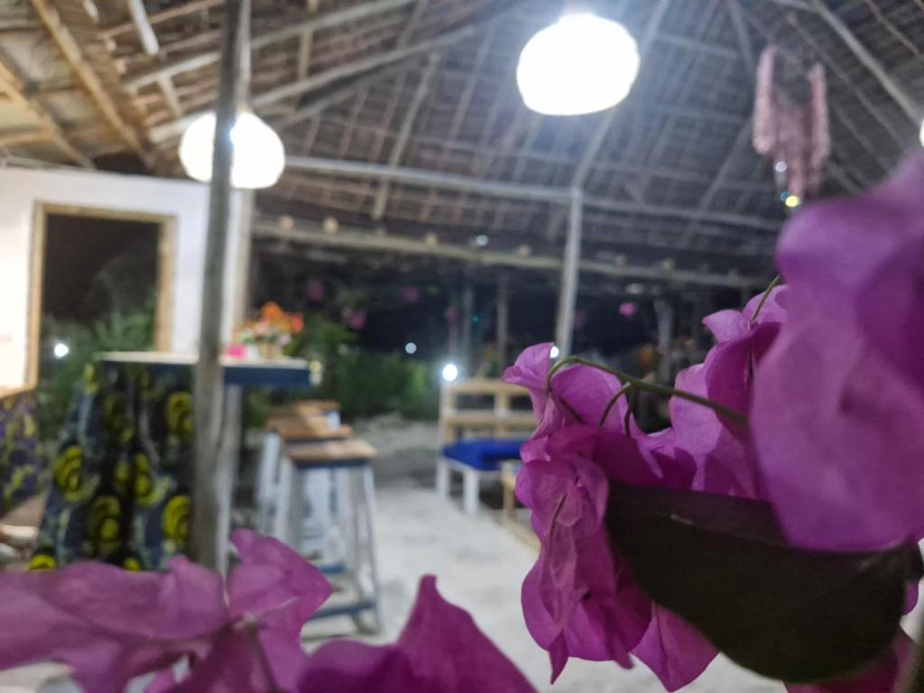 un montón de flores púrpuras en una habitación en GHhome Zanzibar, en Pingwe