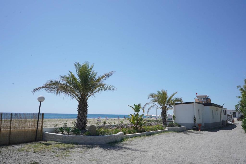 Camping Village Torrenova - Bungalow - Beach Front