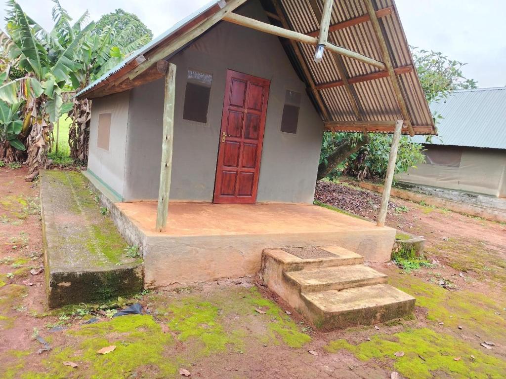 a small house with a red door in a yard at African Dream Tents in Graskop