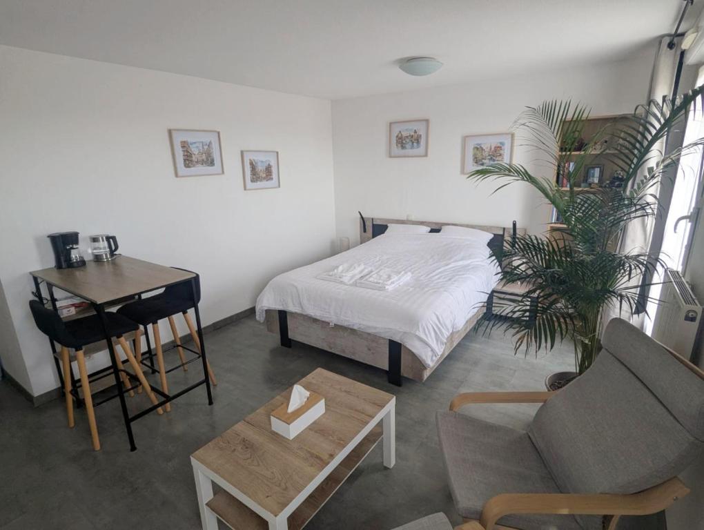 a bedroom with a bed and a desk and a chair at Grande chambre et salle de bain privée et balcon in Strasbourg