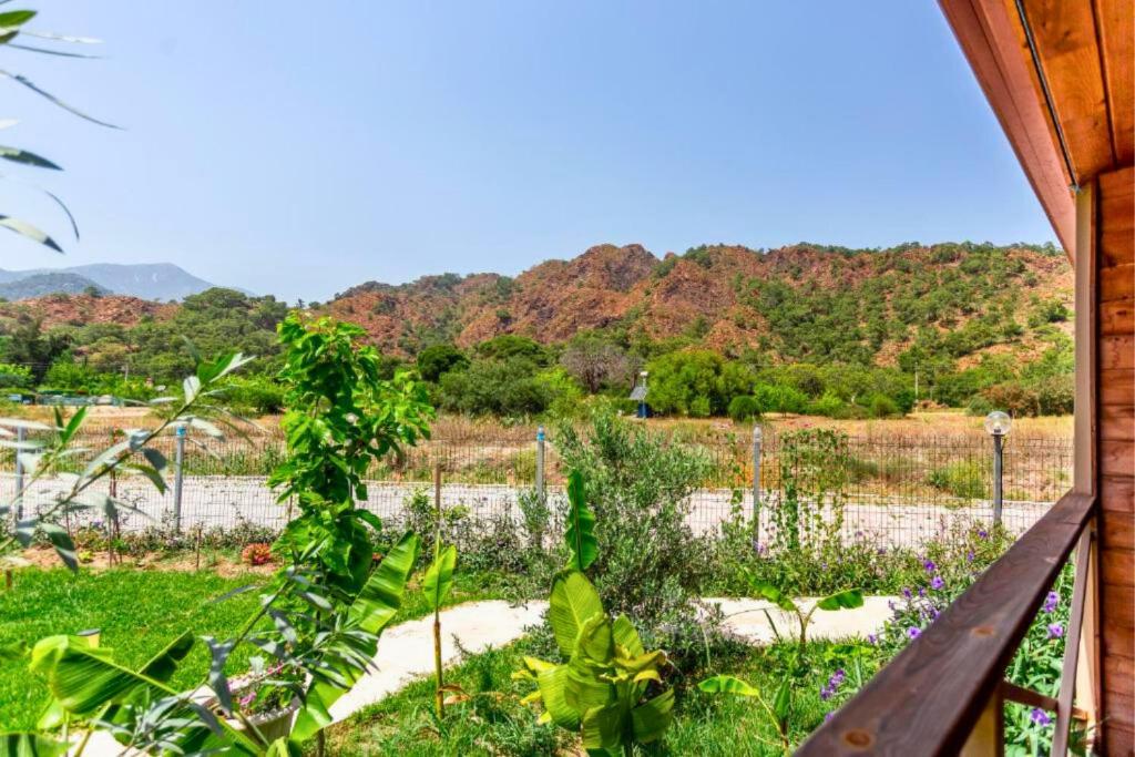 Izgen Bungalows - 18