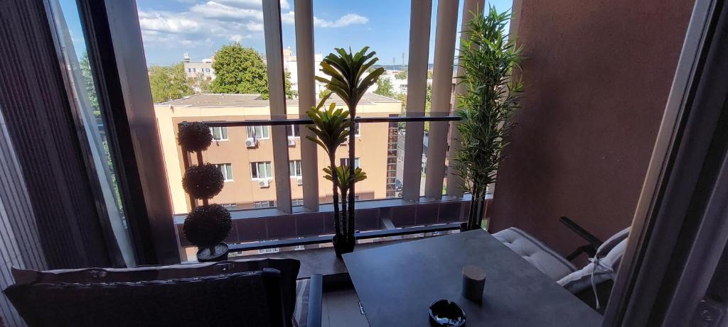a room with a table and a large window with palm trees at Extra Apartman Palata in Banja Luka