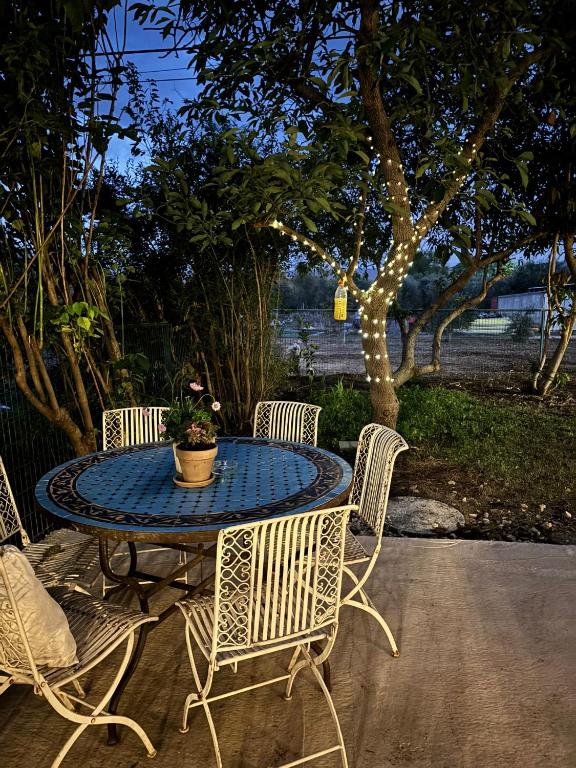 a patio table with chairs and a potted plant on it at אירוח בעמק in Yesod Hamaala