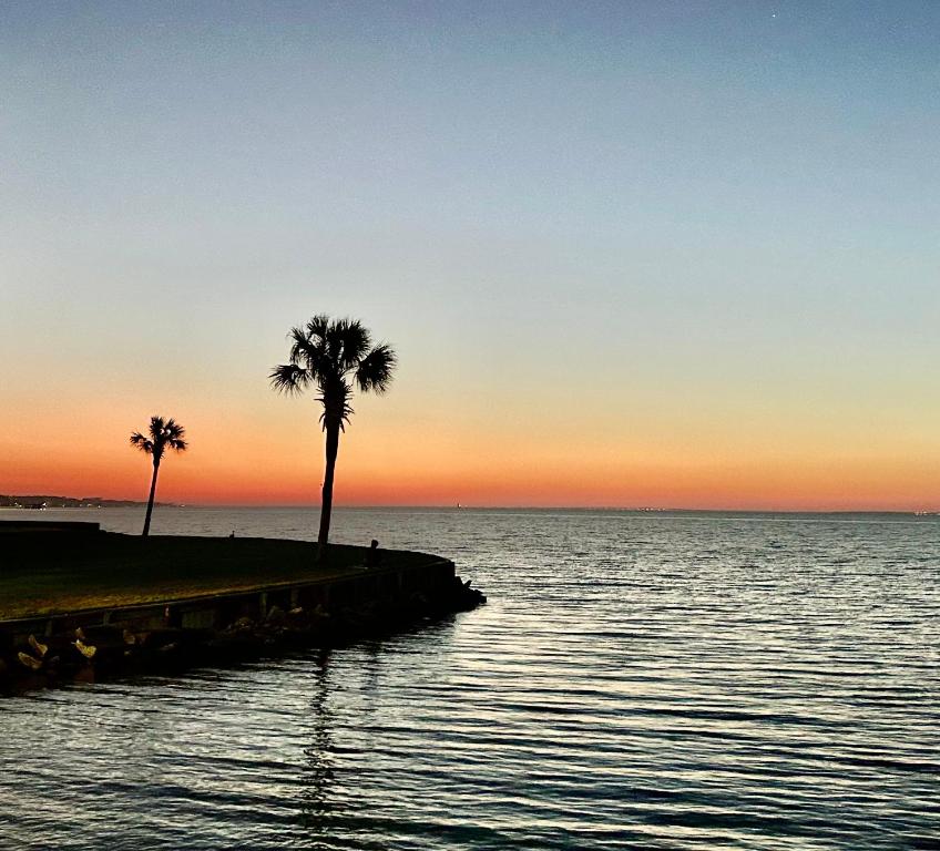 Naturlandskabet i nærheden af lejligheden