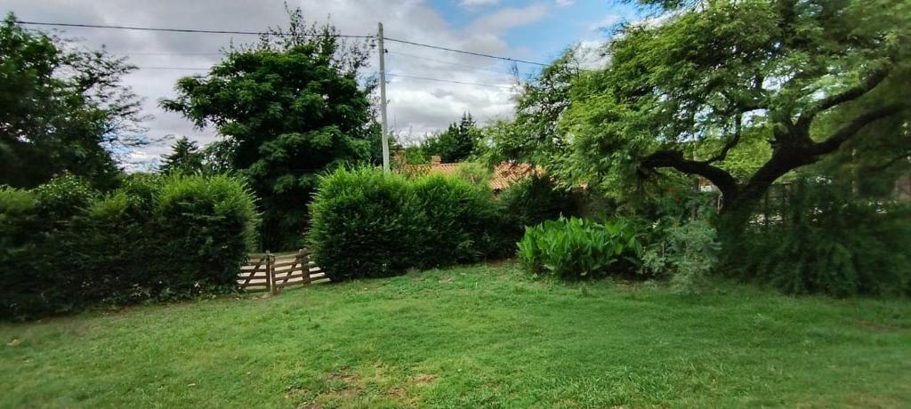 a yard with a fence and some bushes and a tree at Chalet los aromos in Villa Los Aromos