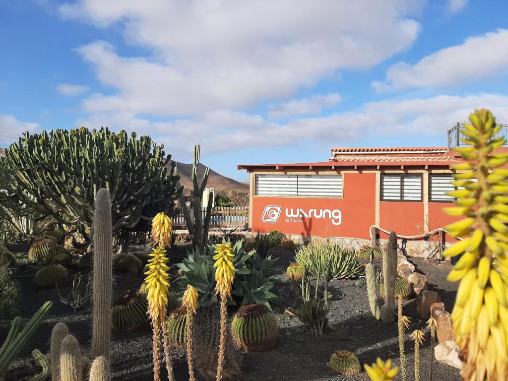 Warung في لاجاريس: حديقة من الصبار والنباتات امام مبنى