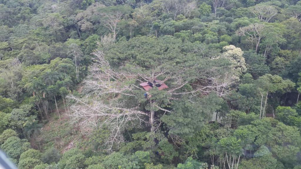 Příroda nedaleko kempu