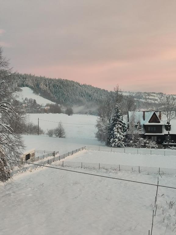 Willa Hajnówka - 13